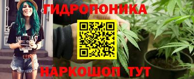 PSILOCYBIN Чапаевск