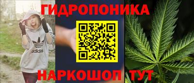 PSILOCYBIN Чапаевск