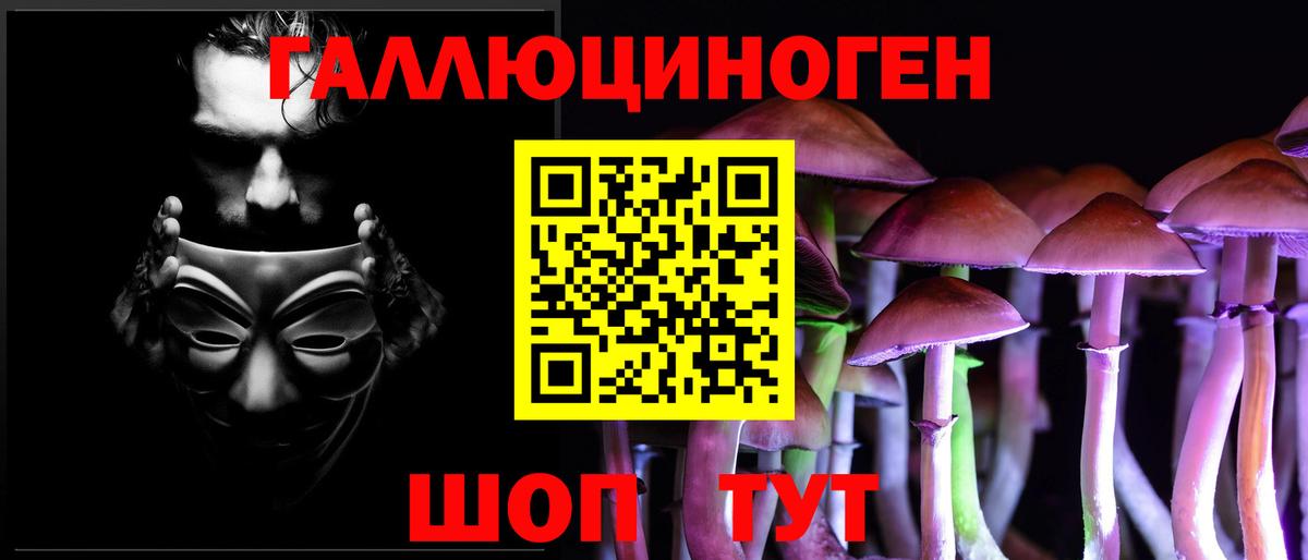 Псилоцибиновые грибы GOLDEN TEACHER  Псилоцибиновые грибы Magic Shrooms  Вичуга  наркотики  Вход с VPN 